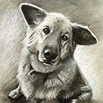 Portrait example