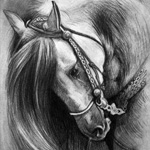 Portrait example