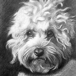 Portrait example